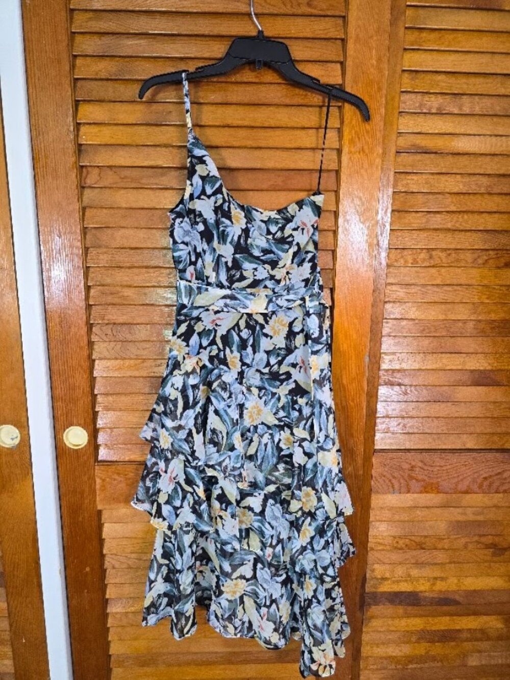 Amren One Shoulder Floral Midi Dress NWT Size 2 Petal & Pup - Picture 9 of 16